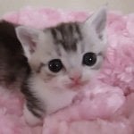 Friends NYC discount code